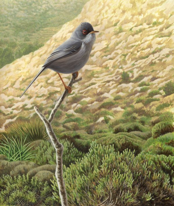 Marmora’s artwork blog